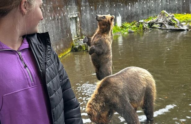 Sitka's Favorite Sites Private Land Tour for 6 (Meal option avail