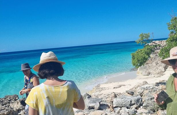 Caribbean Paradise on 4 Beaches in Pedernales-Bahiadelasaguilas