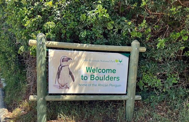 One Day Cape of Good and Penguin Colony Expedition from Cape Town
