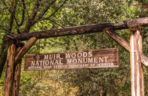 San Francisco, Golden Gate, Sausalito and Muir Woods Private Tour