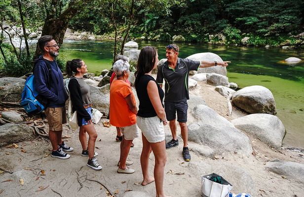 Afternoon Daintree Tour with River Cruise from Port Douglas