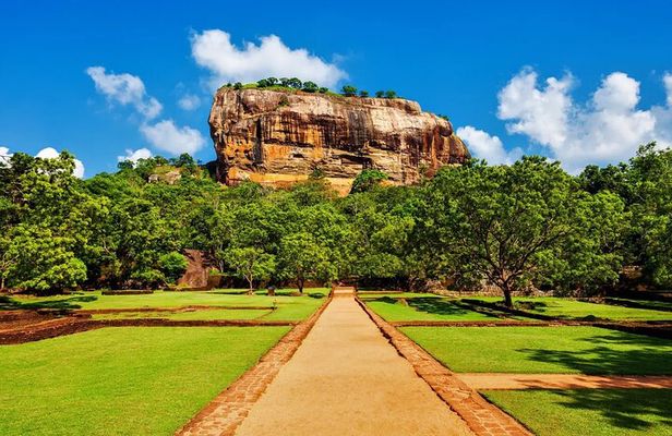 Full Day Private Tour to Sigiriya and Dambulla