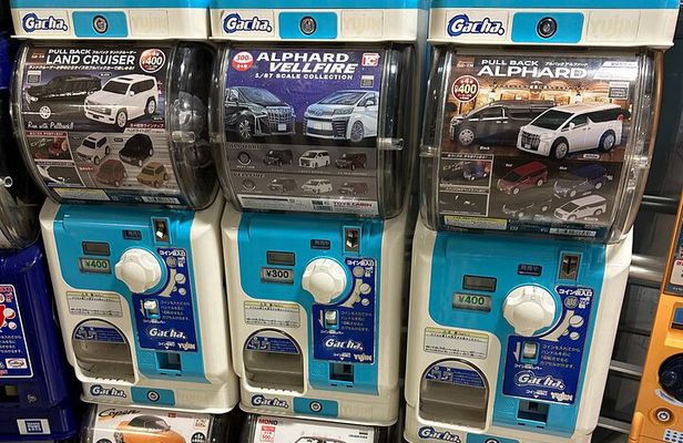 Tokyo Night Cruise and JDM Culture Tour includes stop at Daikoku