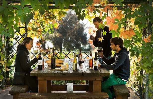 Organic Winery Tour and Tasting in Tuscany