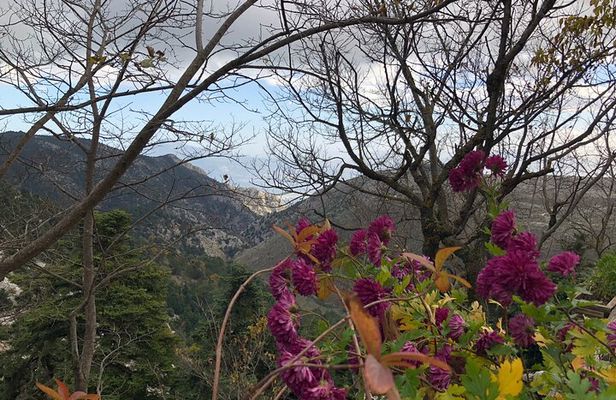 Private Tour To Parnitha and Mpafi Refuge Half Day