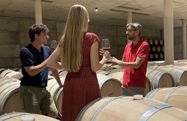 Small Group - Half-Day Wine Tour