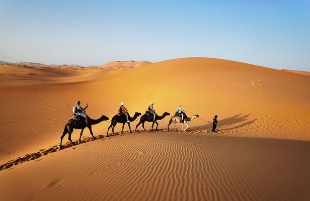Fez to Merzouga Desert Trip camel ride and night camp