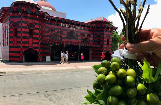 Around the Island Tour From San Juan 