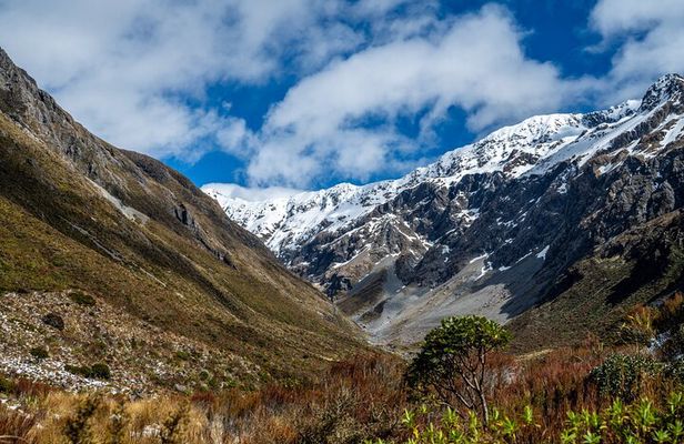 Franz Josef to Christchurch Day Tour (Small Group)
