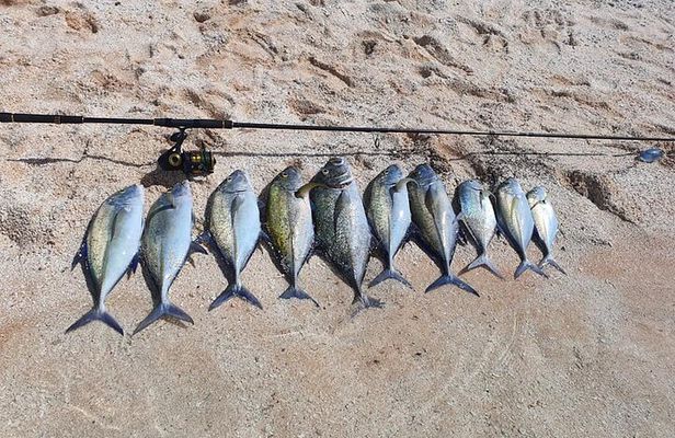 4 Hour Private Boat Fishing Trip