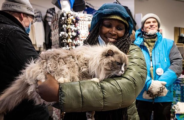Private Reykjavik Cat Walking Tour