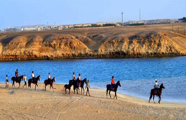 2 Hours Horse Riding with Swimming Option from Marsa Alam