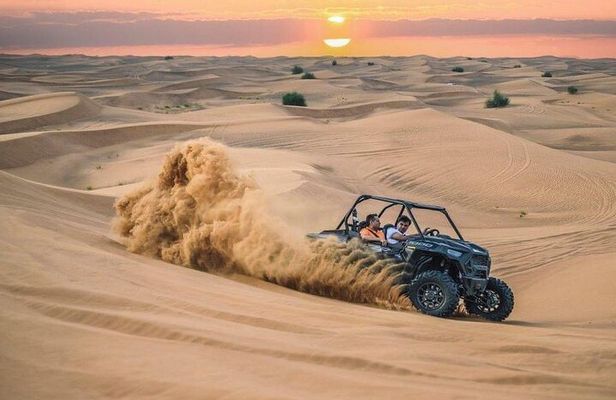 Desert Safari Adventures Dubai