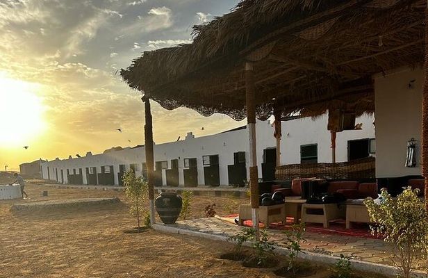 3 Hours Sunrise Horse Riding Beach and Desert from Marsa Alam