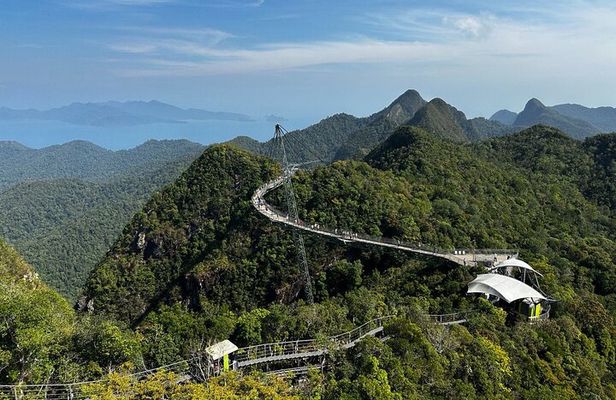 Half day tour Cable Car & Skybridge