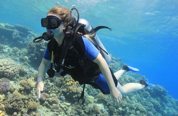 Beginner Scuba Dive 2 diving Stops & Lunch Boat Trip - El Quseir