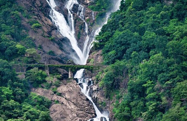 Dudhsagar Waterfalls, Jeep Safari & Spice Plantation private tour