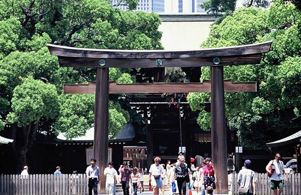 Private Guided 1/2-Day Walking Subway Tour in Tokyo (English)