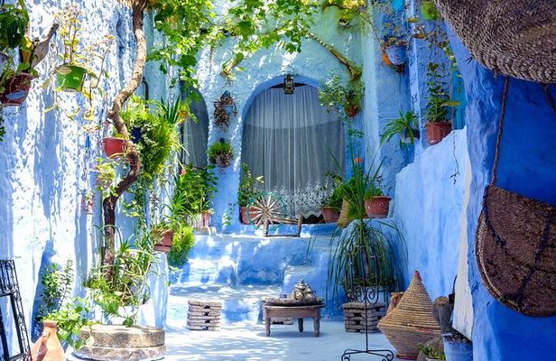 6 Day Tour from Tangier to Chefchaouen Fes and Asilah