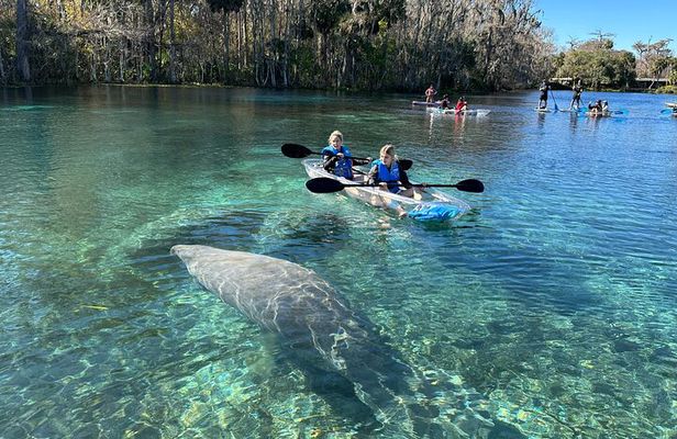 Silver Springs Clear Kayak Rentals