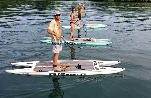 Stand Up Paddle Board Experience in Bahia Honda Bocas del Toro