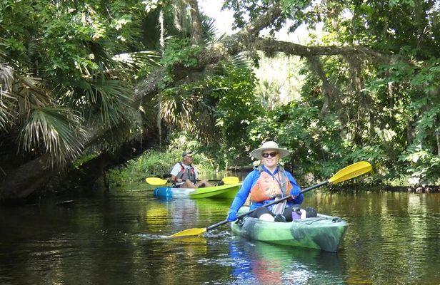 Small Group Scenic Wekiva River Kayak Tour near Orlando