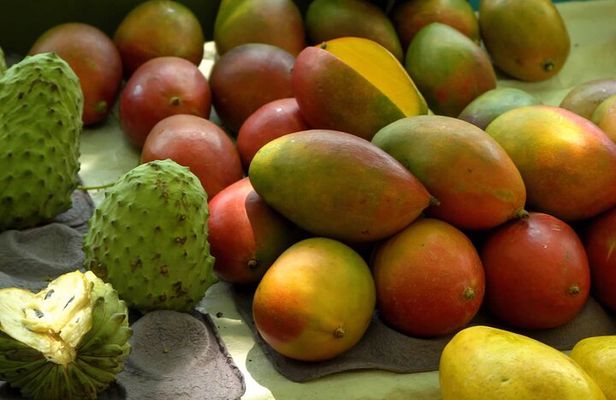 Rio Tropical Fruit Tour: Market Walk + Guided Tasting