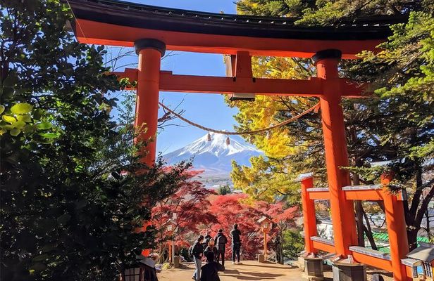 Mt. Fuji 5th Station, Oshino Hakkai and Lake Kawaguchiko Day Trip