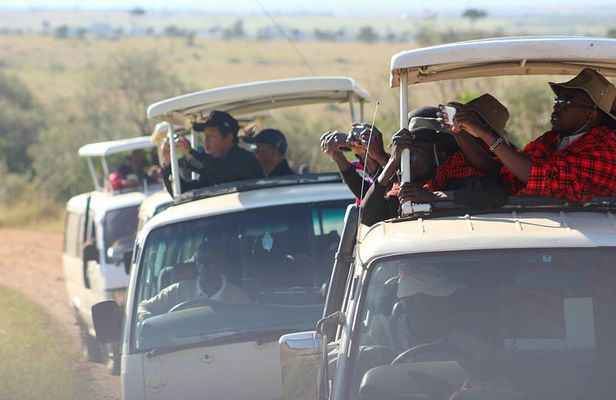 Epic 5-Day Kenya Safari – Big Five Experience