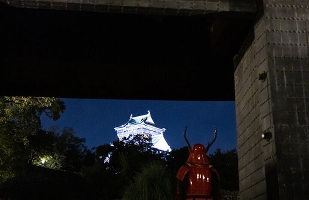 Samurai-specific Osaka Castle Guides Private tours in armor Photo