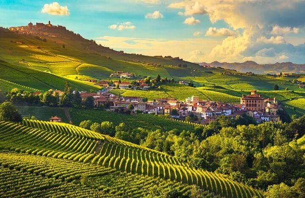 Barolo wine Tasting, Alba, UNESCO Castle: Small Group from Milan