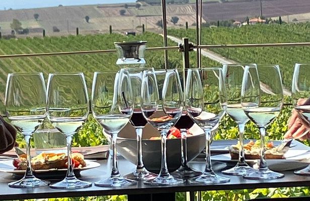 Wine Touring a Step Away from the city