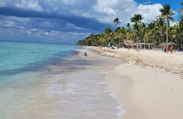Saona Island Full-Day Tour from Punta Cana Bayahibe All Inclusive
