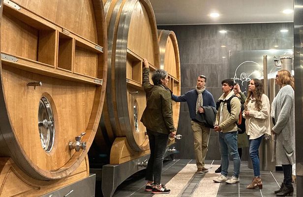 The Secrets of Champagne by a Passionate Winemaker (English)