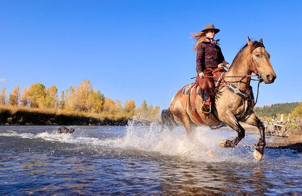 3 Hour Horseback Riding in Jackson Hole
