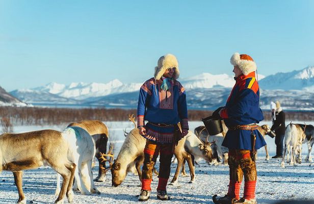 Reindeer Feeding and Sami Culture Afternoon Departure