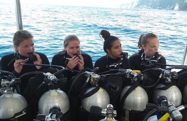 Try Scuba Diving for Beginners with manta rays (Non - Certified)