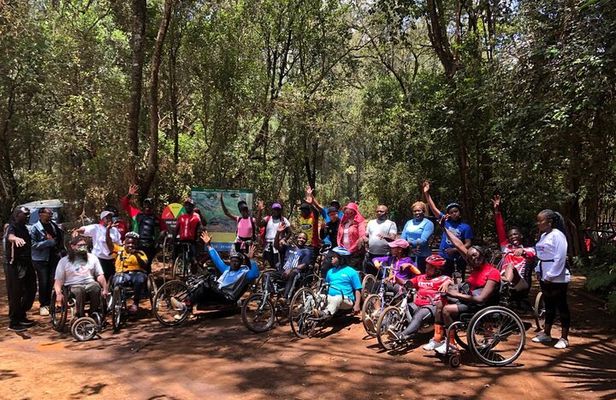 Karura Forest Nature Trail Day Tour