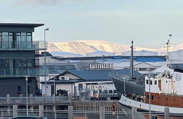 Reykjavik Food Tour - Old Harbor Walking Tour