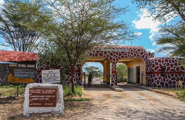 3 Days 2 Nights Samburu Sopa Lodge Private Safari