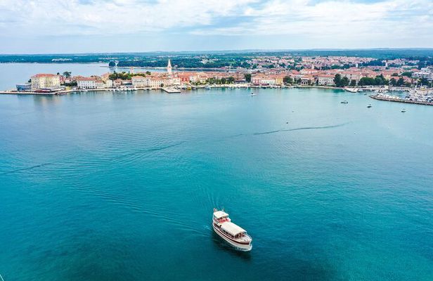 Dolphin Watching around Poreč Riviera with Boat Trip