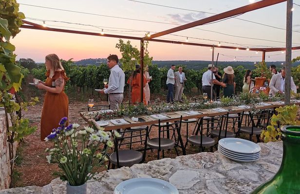 Dinner in the vineyard with wine tasting and walk