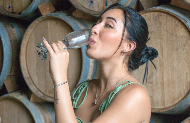 Descubre Tequila en una Experiencia Premium Tour