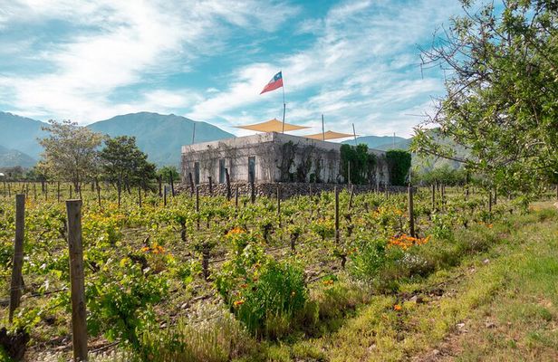 Tour to Maipo boutique wineries
