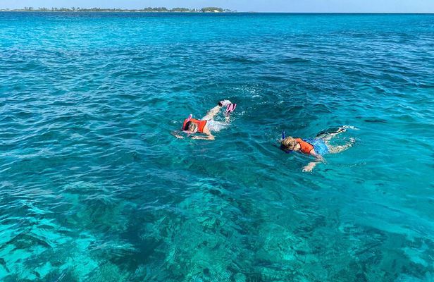 5 Hours Pigs and Turtles with Beach Stop in Bahamas