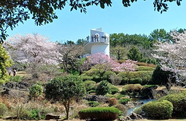 Jeju your way (private tour )