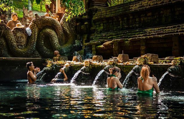 Experience Ubud Highlights Private Tour
