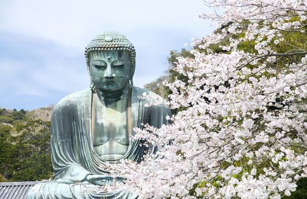 Tokyo: Bus Tour to Kamakura Great Buddha & Enoshima with Pickup
