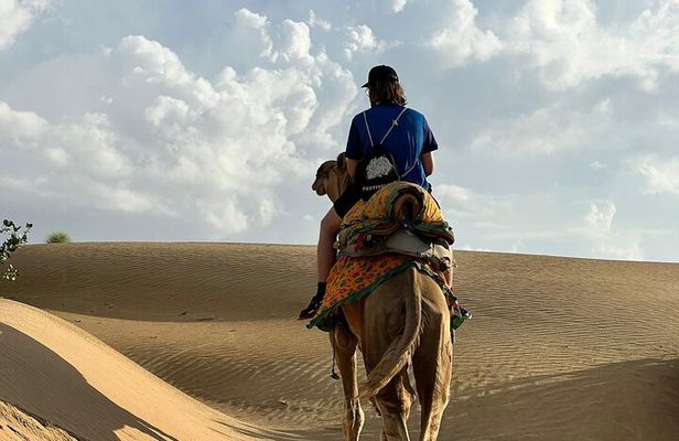 Overnight Camel Safari in Thar Desert