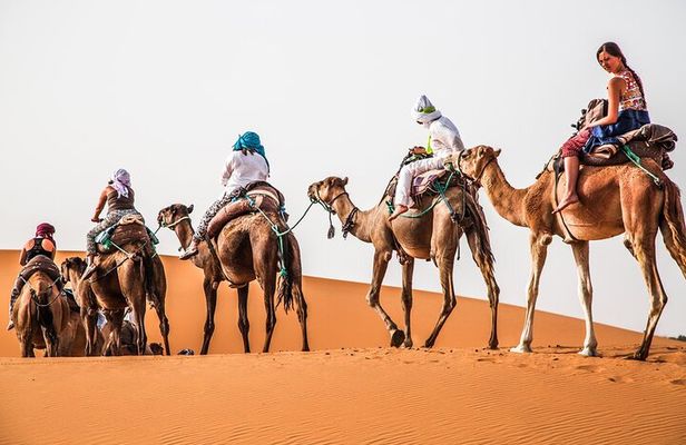 3 Day Private Tour From Errachidia To Merzouga and Marrakech